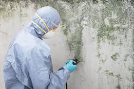 Best Emergency Mold Remediation  in Crest Hl, IL